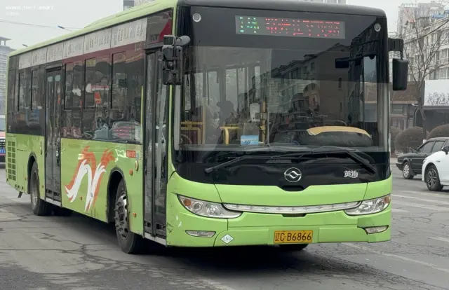 800BUS