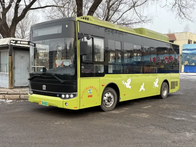 800BUS