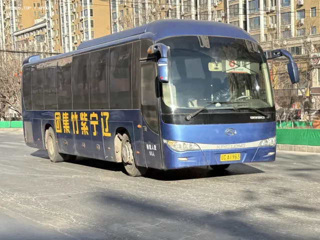 800BUS