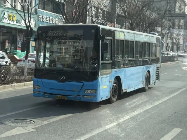 800BUS