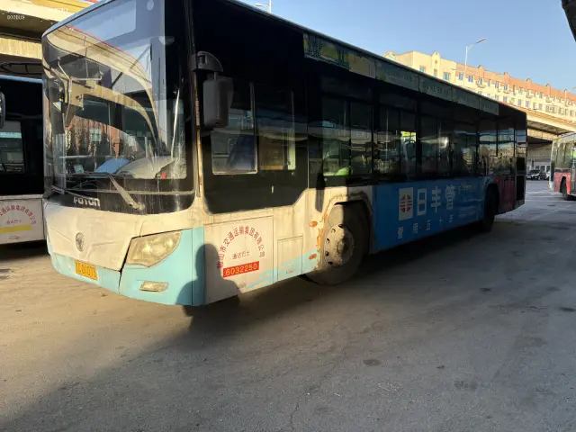 800BUS