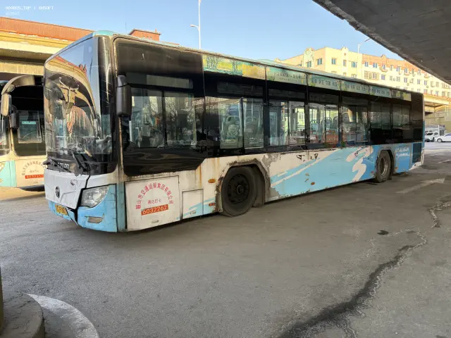 800BUS