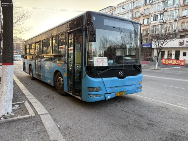 800BUS