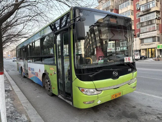 800BUS