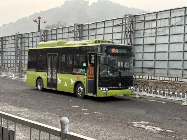 800BUS