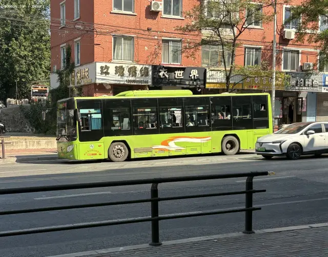 800BUS