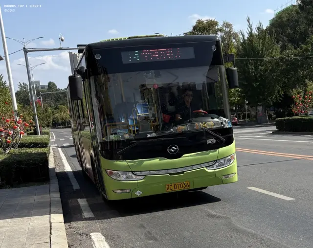 800BUS
