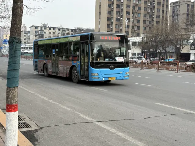 800BUS
