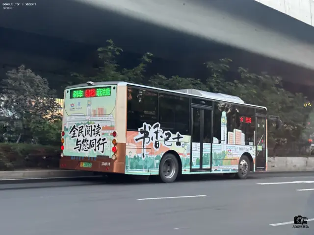 800BUS
