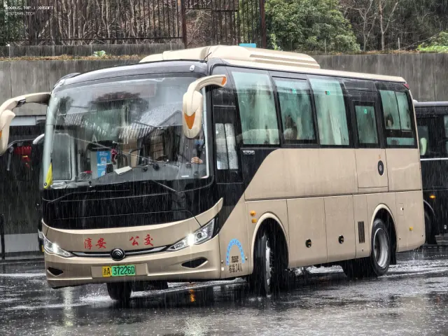 800BUS