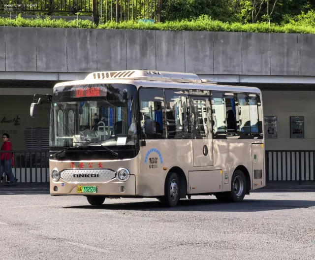 800BUS