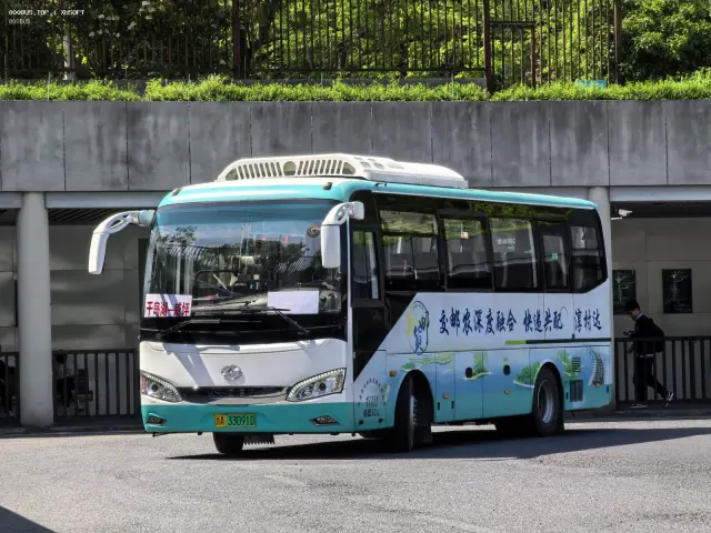 800BUS
