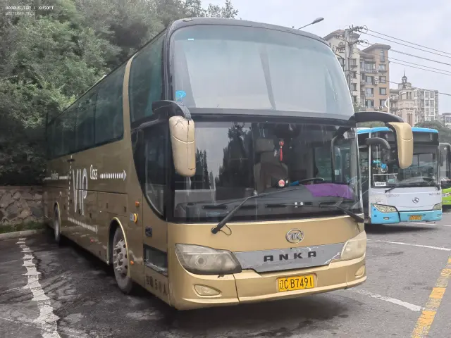 800BUS