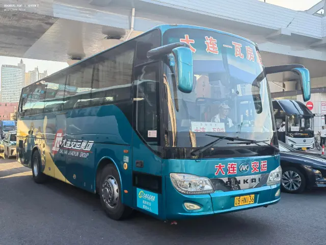 800BUS