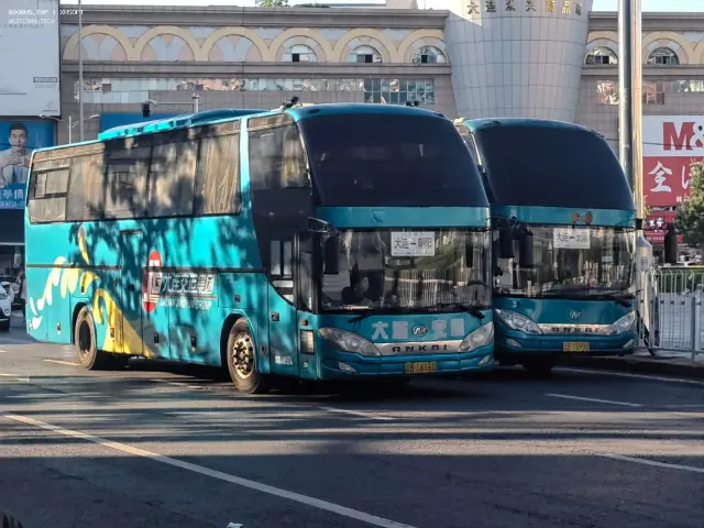 800BUS