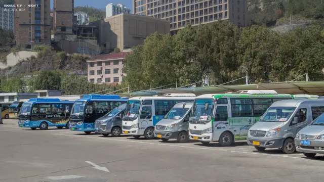 800BUS