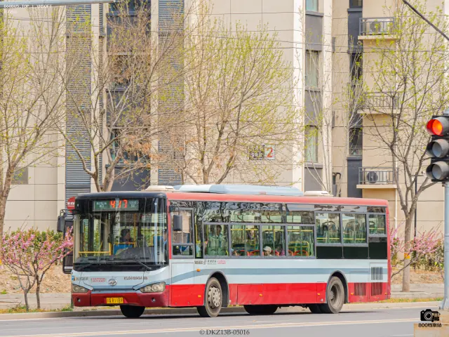 800BUS