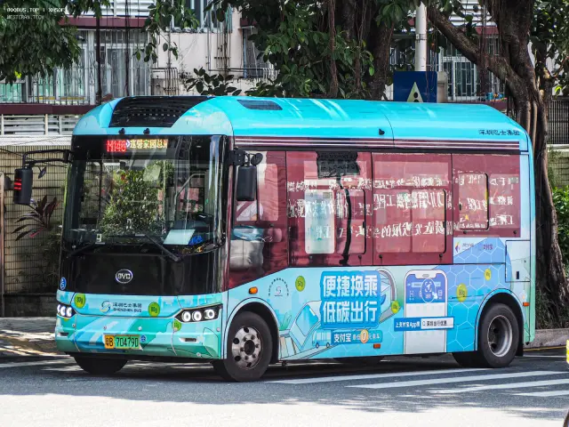 800BUS