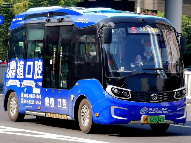 800BUS