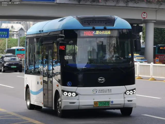 800BUS