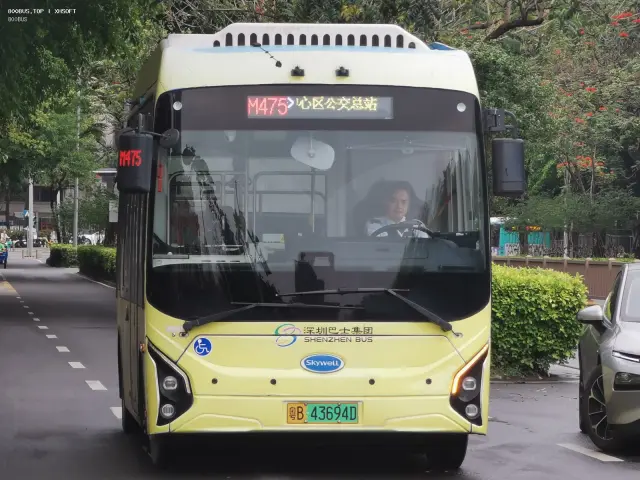 800BUS