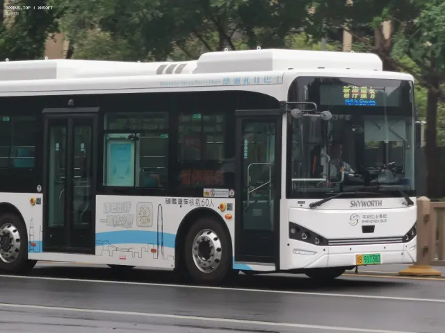 800BUS