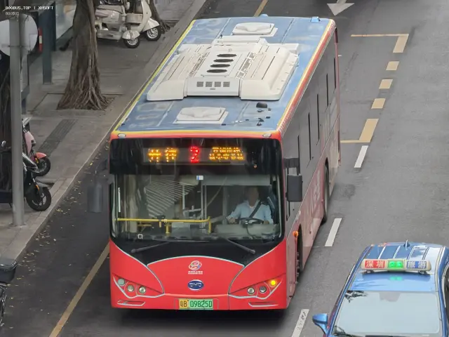 800BUS