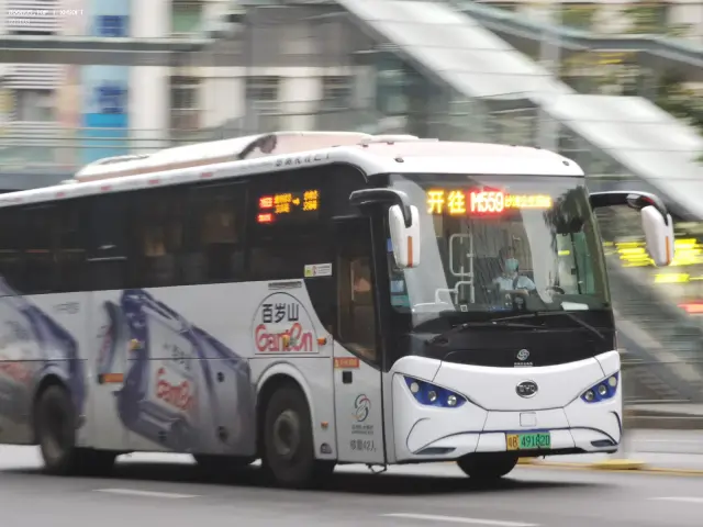 800BUS