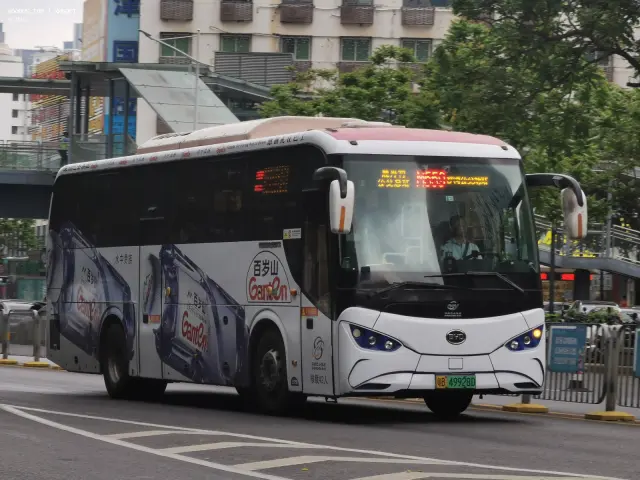 800BUS