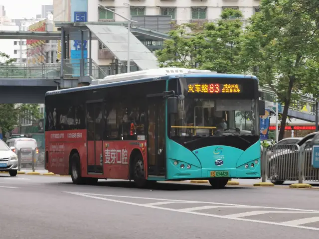 800BUS