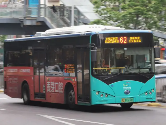 800BUS