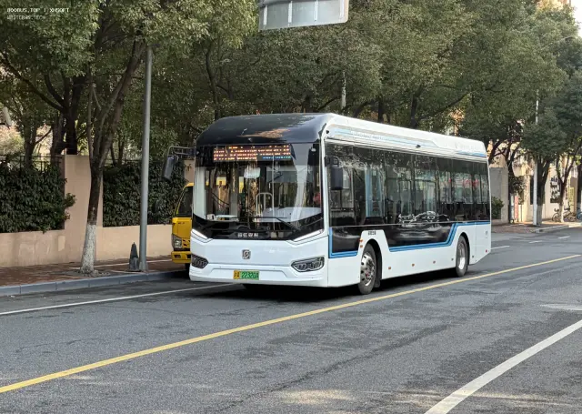 800BUS