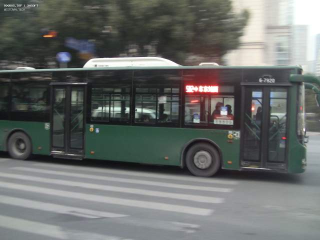 800BUS