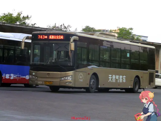 800BUS