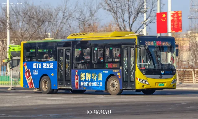 800BUS