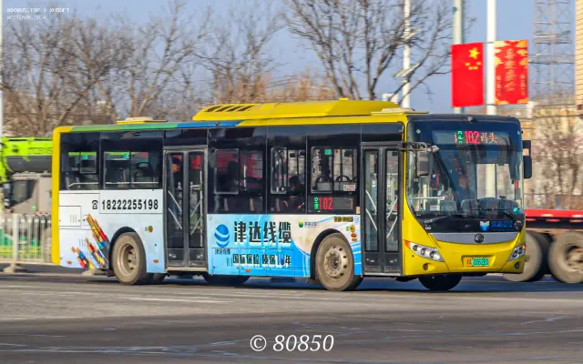 800BUS