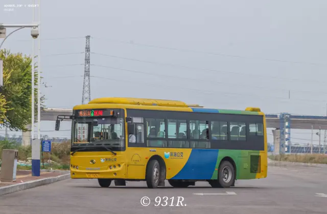 800BUS