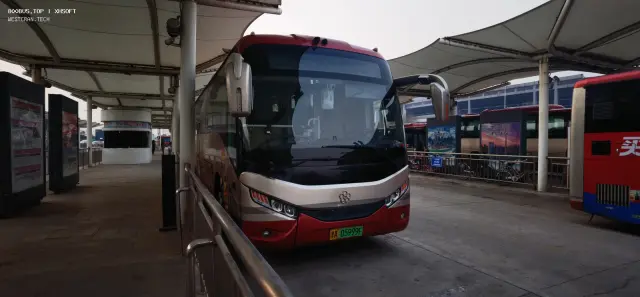 800BUS