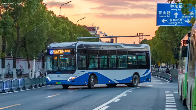 800BUS
