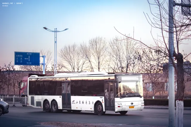 800BUS