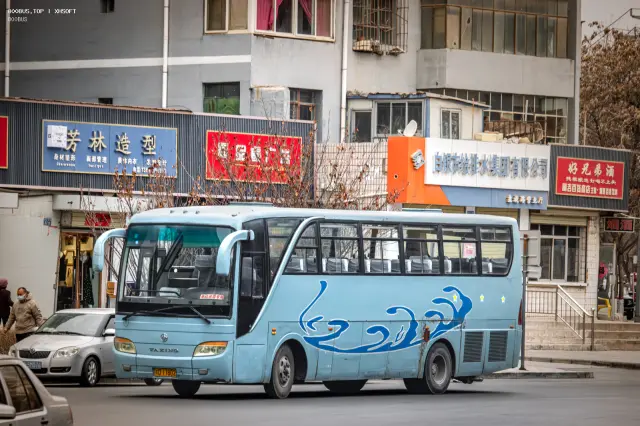 800BUS