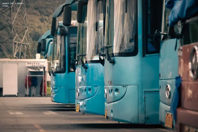 800BUS