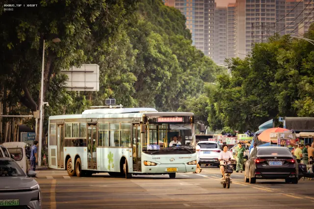 800BUS