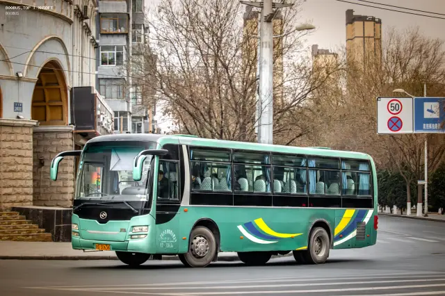 800BUS