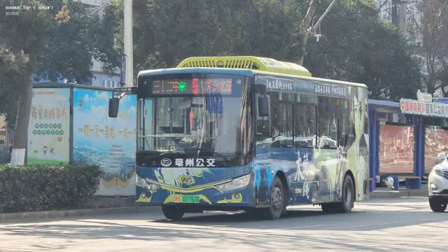 800BUS
