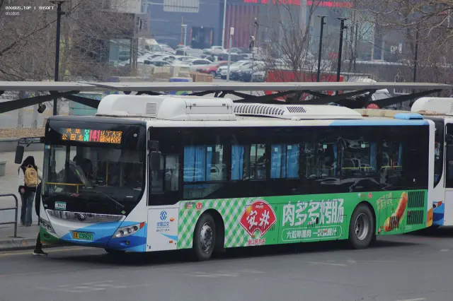 800BUS