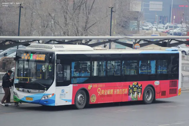 800BUS