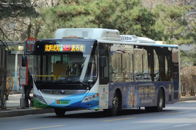 800BUS