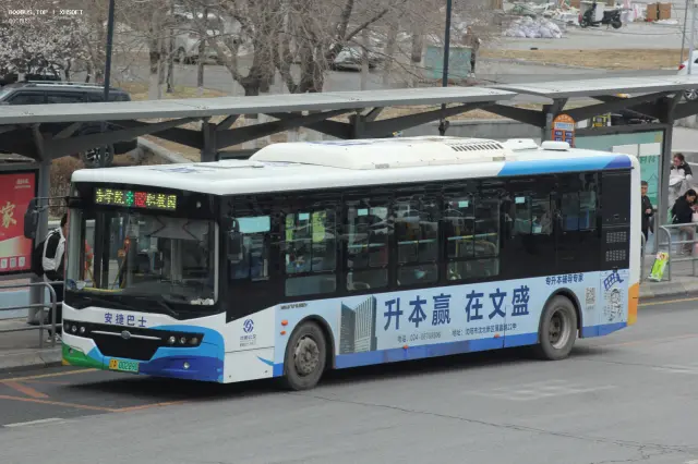 800BUS