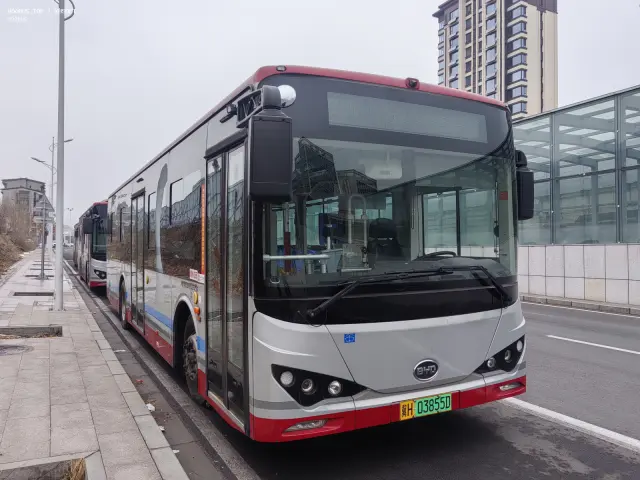 800BUS